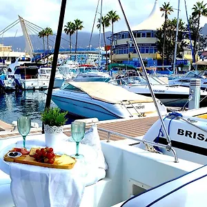 Barco Pita - Amarilla Marina Botel